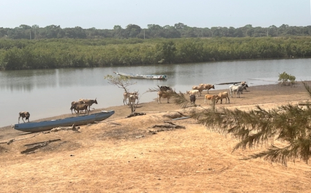 edioungou tourisme ecologique senegal