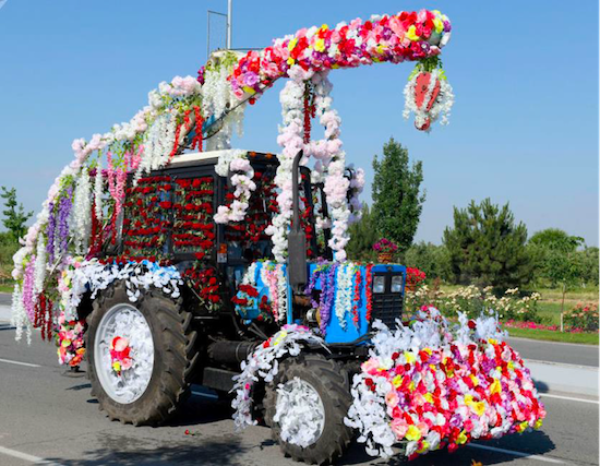 festival des fleurs ouzbekistan