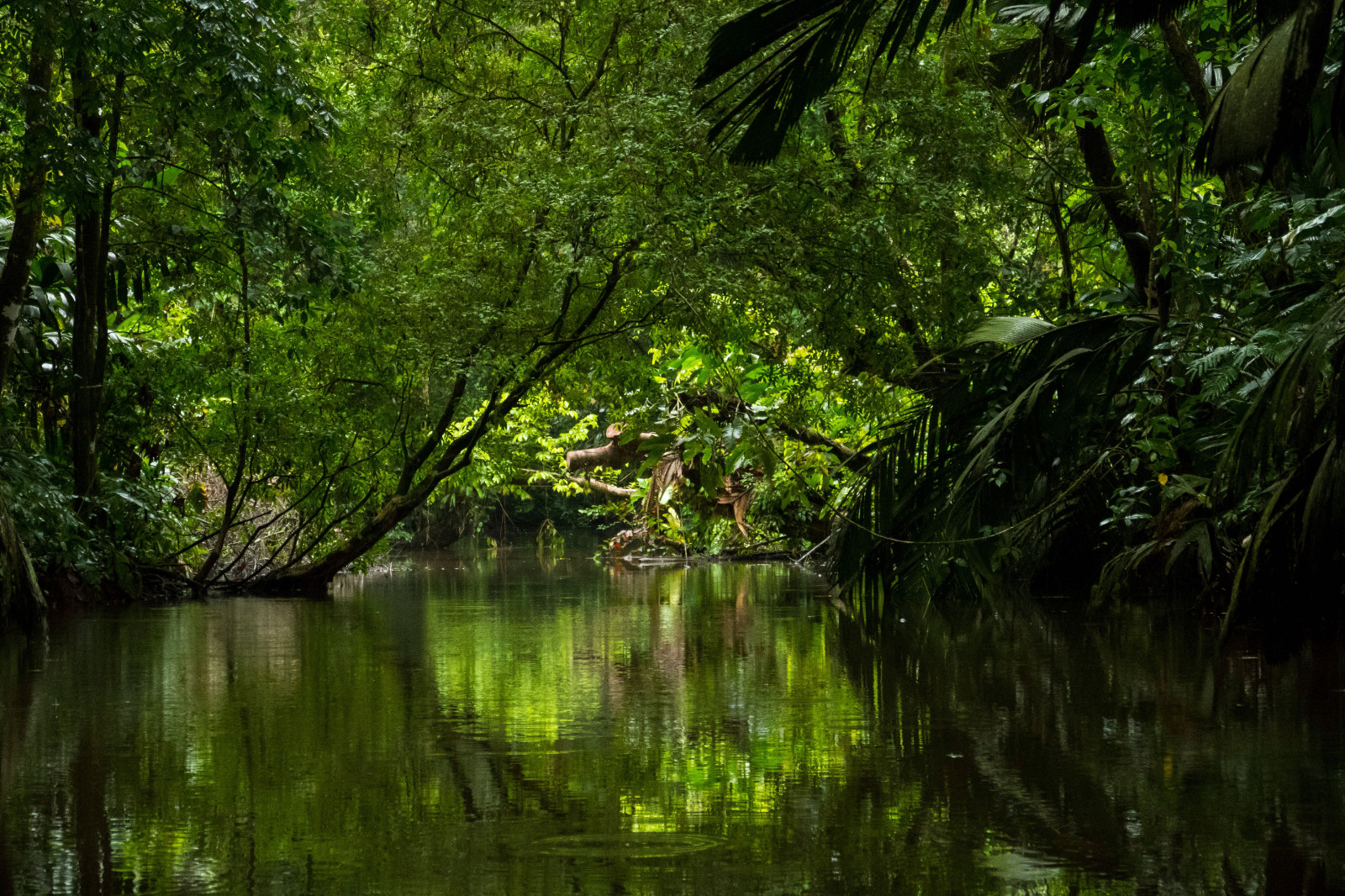 Le Costa-Rica, une destination de l'Heure Vagabonde