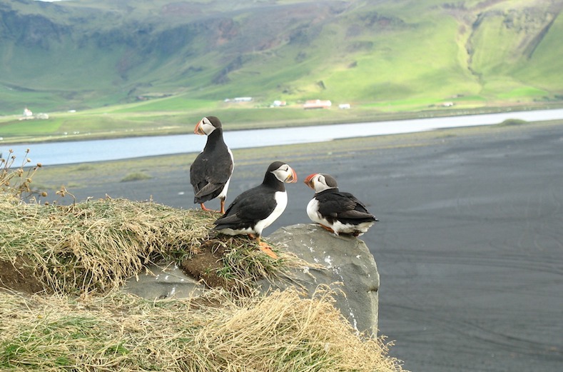 voyage islande