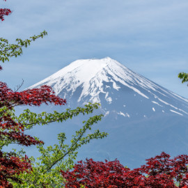 Le Japon, une destination de l'Heure Vagabonde