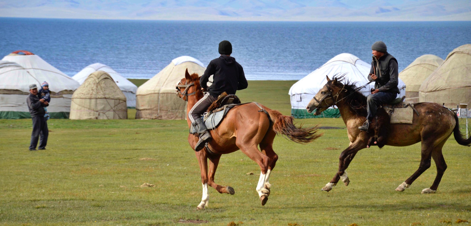 kirghizistan campement yourtes chevaux