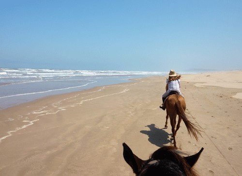 essaouira balade equestre