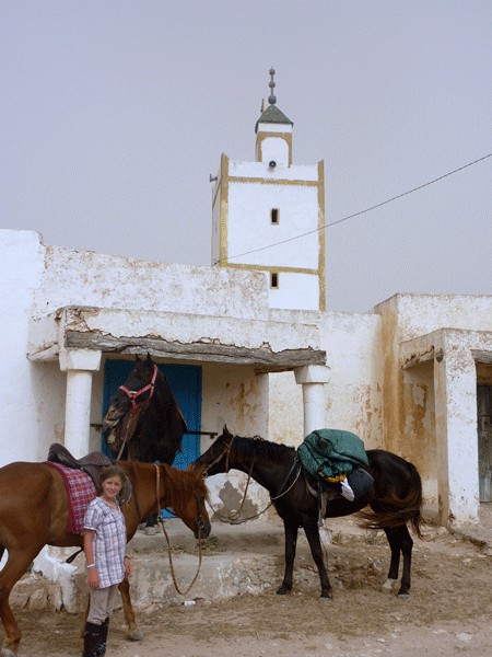 essaouira halte equestre