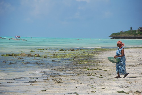 tanzanie avis voyage safari zanzibar plage de jambiani