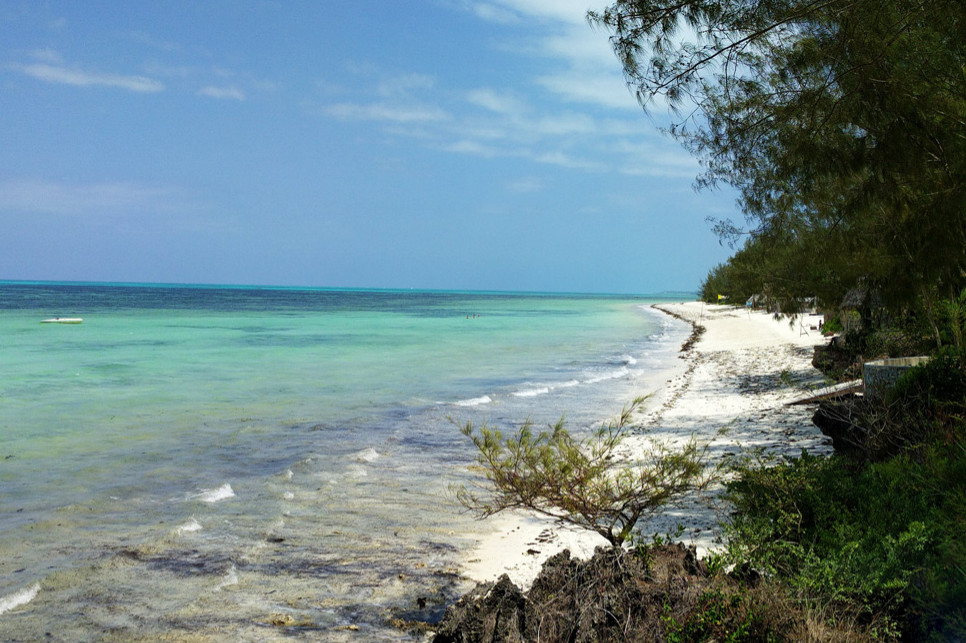 L'île de Mafia, paradis des plongeurs - La Tanzanie avec l'Heure Vagabonde