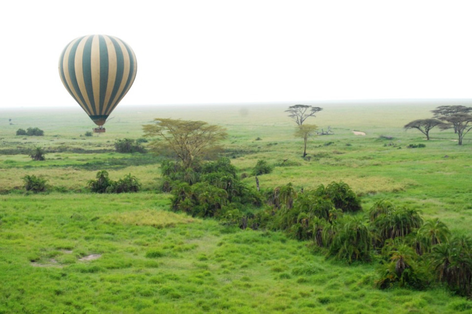 Safari en montgolfière au dessus du Serengeti - Découvrir la Tanzanie avec l'Heure Vagabonde