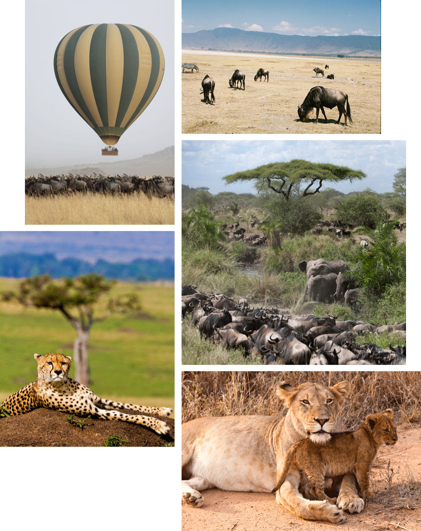 tanzanie serengeti safari montgolfiere