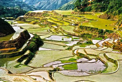 philippines rizieres