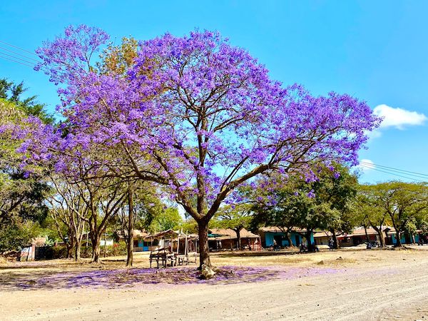 sejour atypique en pays wameru tanzanie